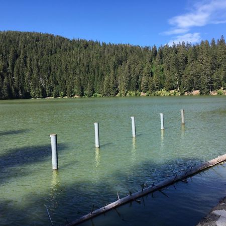 Le Petit Kichon Apartment Gerardmer Luaran gambar