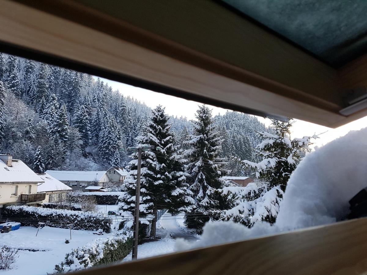 Le Petit Kichon Apartment Gerardmer Luaran gambar