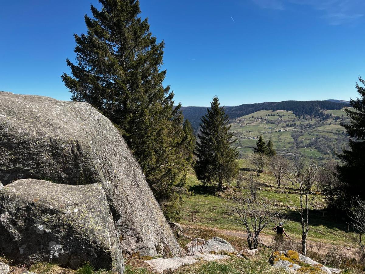 Le Petit Kichon Apartment Gerardmer Luaran gambar