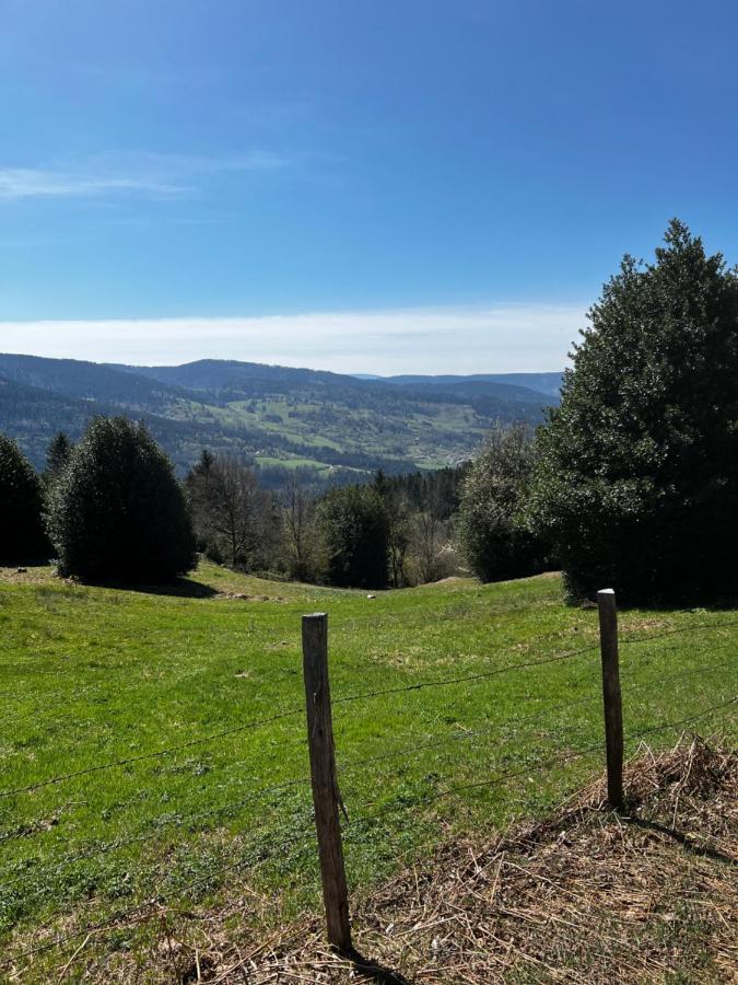 Le Petit Kichon Apartment Gerardmer Luaran gambar