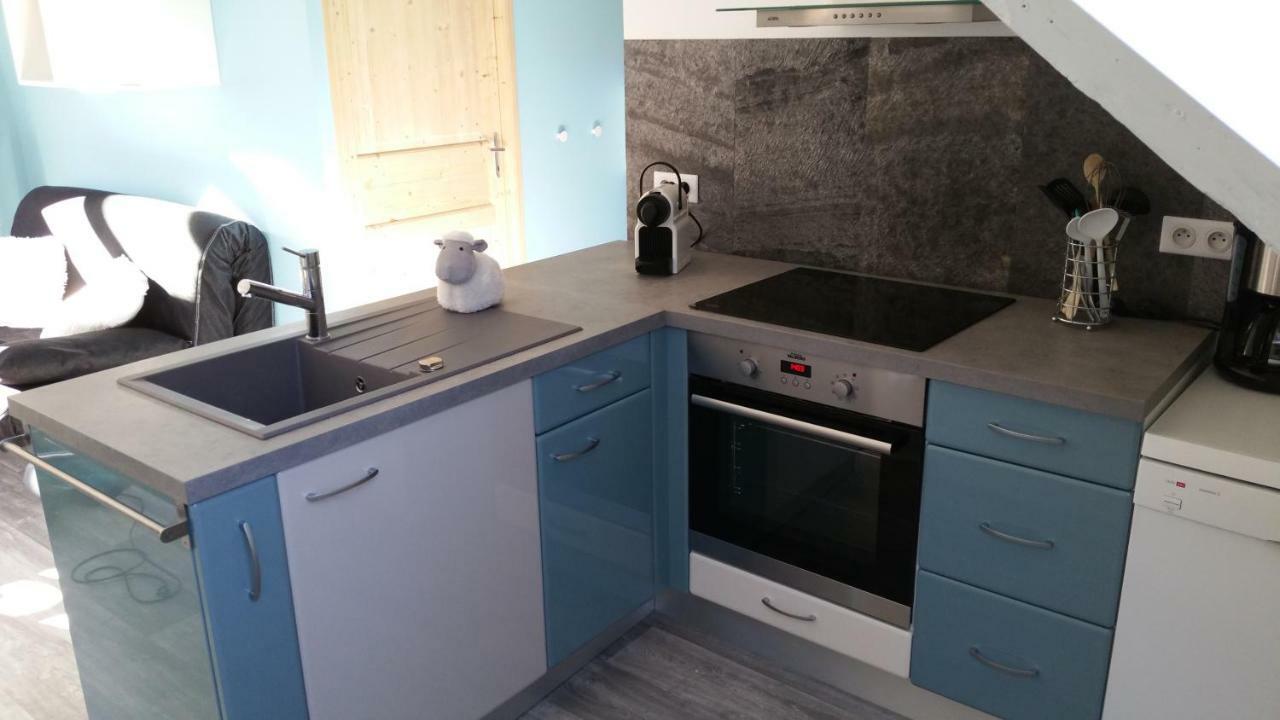 Le Petit Kichon Apartment Gerardmer Luaran gambar